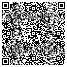 QR code with Carrier Consulting Inc contacts