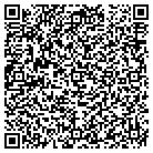 QR code with Premier Shine contacts