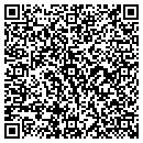 QR code with Professional Mobile Auto contacts