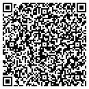 QR code with Pyle Floor Covering contacts