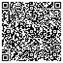 QR code with Conceptual Designs contacts