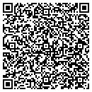 QR code with Conceptual Visions contacts
