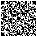 QR code with Cronin Paul J contacts
