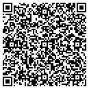 QR code with Teem Controls Systems contacts