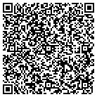 QR code with Public Access Channel 11 contacts