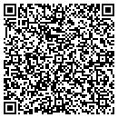 QR code with Public Access Twelve contacts