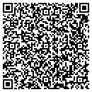 QR code with Pristine Detailing contacts