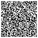 QR code with Pro Mobile Detailing contacts