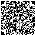QR code with B M D contacts