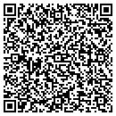 QR code with Pro Roofing & Patio contacts