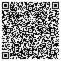 QR code with Rochin contacts