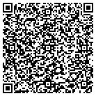QR code with Professional Auto Systems contacts
