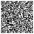 QR code with Cronin Ananda contacts