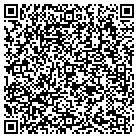 QR code with Pulskamp's Flooring Plus contacts