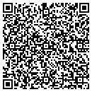 QR code with Precision Auto Wash contacts