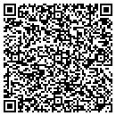 QR code with Professional Flooring contacts