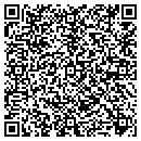 QR code with Professional Cleaners contacts
