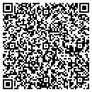 QR code with Careys Tour & Travel contacts