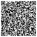 QR code with Babich Frank J contacts