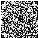 QR code with Premier Flooring contacts