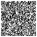 QR code with Team Staffing Service contacts