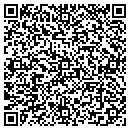 QR code with Chicagoland Car Wash contacts