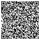 QR code with Steeleville Car Wash contacts