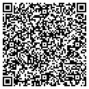 QR code with Pulice Plumbing contacts