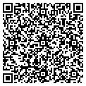 QR code with D Plume Design contacts