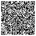 QR code with Studio contacts