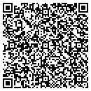 QR code with Citys Wash And Detail contacts