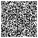QR code with Professional Design contacts