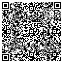 QR code with Carey Lane Accents contacts