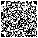 QR code with Pyramid Roofing CO contacts
