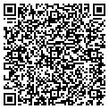 QR code with Dkw Inc contacts