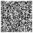 QR code with Precision PCB Service contacts