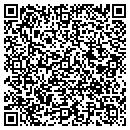 QR code with Carey Custom Floors contacts