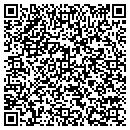QR code with Price Jt Inc contacts