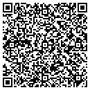 QR code with Professional Cleaners contacts