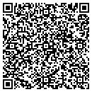 QR code with Professional Roofer contacts