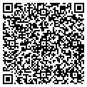 QR code with Knest contacts