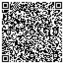 QR code with Psyphire Productions contacts