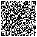 QR code with Cd Designs contacts