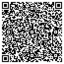 QR code with Crystal Laundry LLC contacts