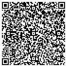 QR code with blu network satellites contacts