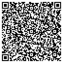 QR code with Pulse Trading Co contacts