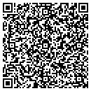 QR code with Preformance Inc contacts