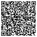 QR code with Wilcox contacts