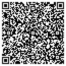 QR code with Premium Roofing LLC contacts