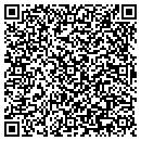 QR code with Premier Auto Shine contacts
